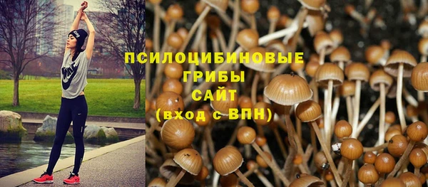 таблы Богородск