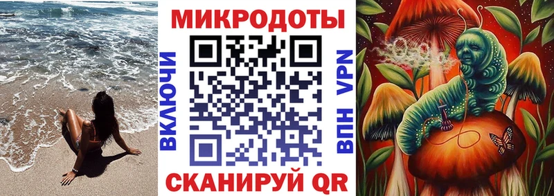 Галлюциногенные грибы MAGIC MUSHROOMS  Купить закладки  Пудож 
